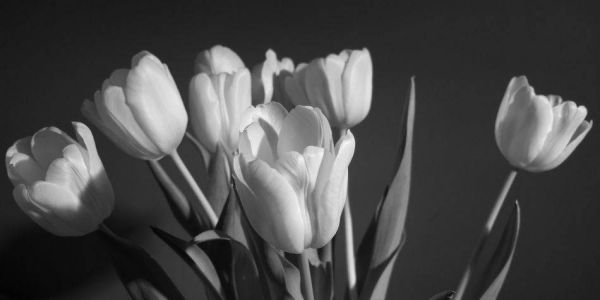 photo_one